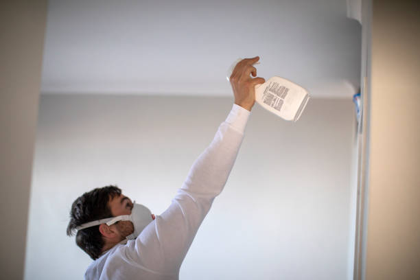 Mold Removal Process in Marvell, AR