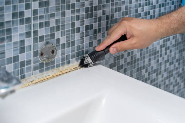 Best Mold Cleaning Services  in Mvell, AR