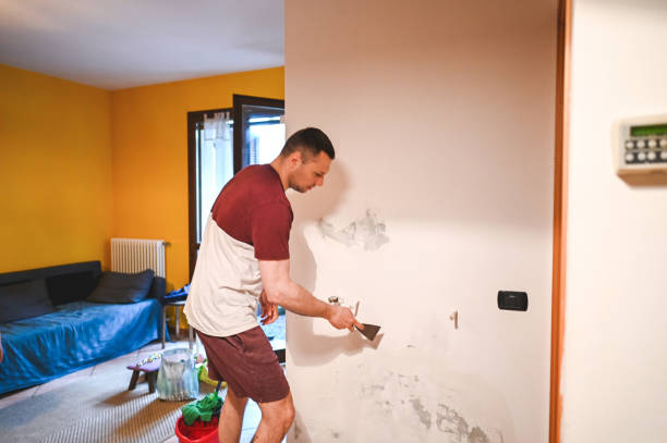 Best Toxic Mold Removal  in Mvell, AR